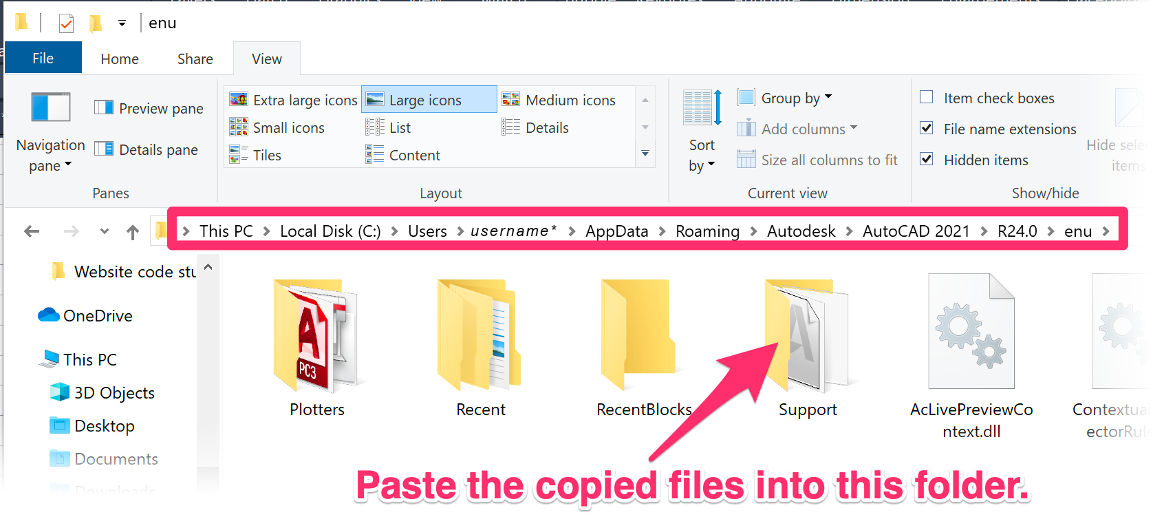 paste the copied files into this location