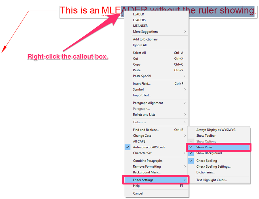 Editor Settings, Show Ruler option selected