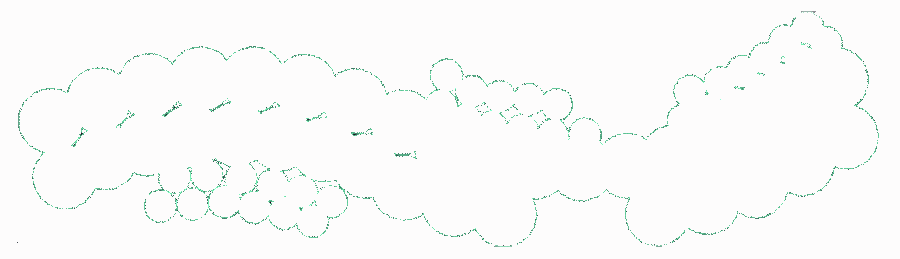 Example polyline boundary that contains several interior objects and includes self-intersecting polylines