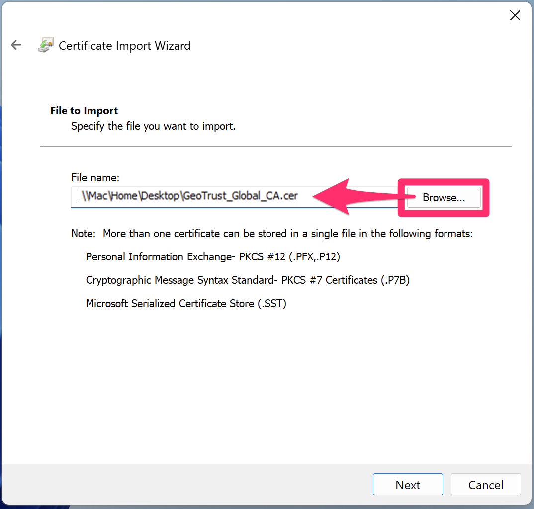 Import Wizard, Browse button, browsing to Geotrust file on desktop