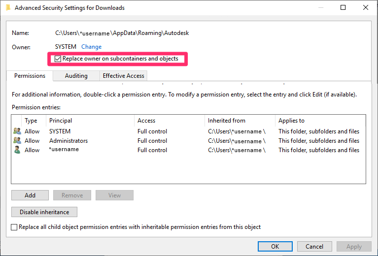 Advanced Security Settings for Downloads dialog box, Replace owner on subcontainers and objects option checked