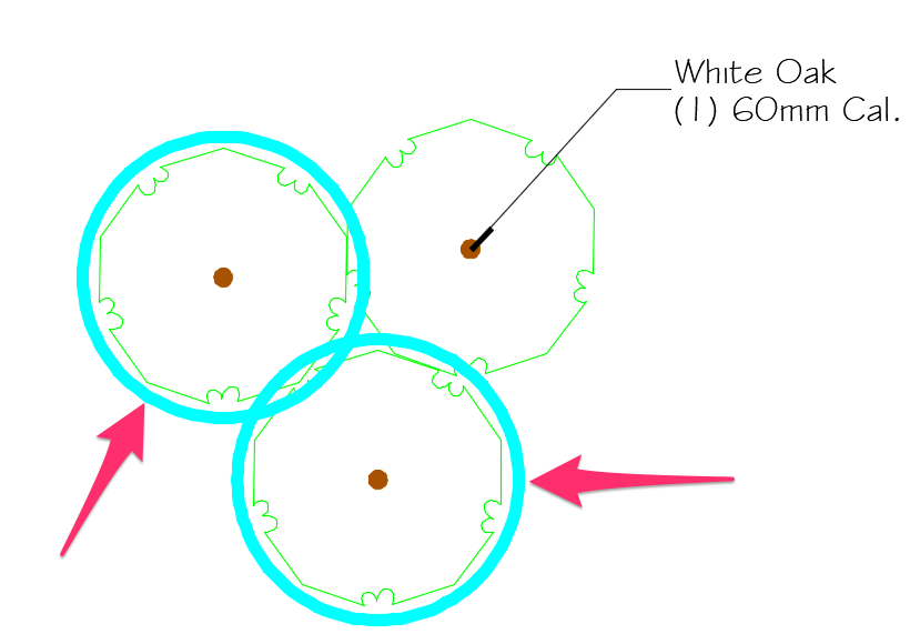 Plant Highlights appear correcly as thick lines