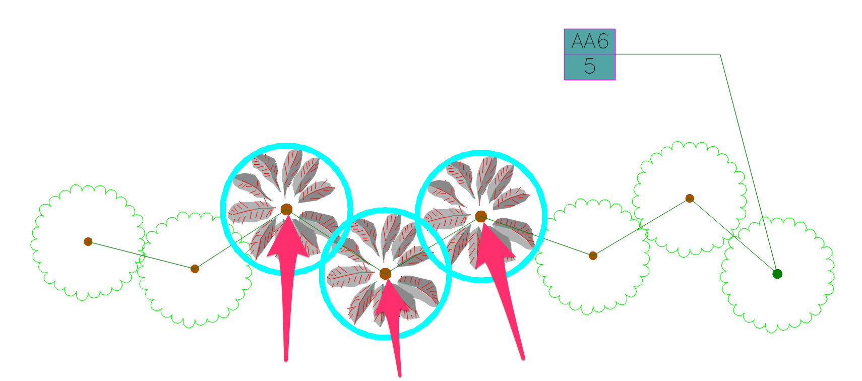 Connecting Line plant label with corrected quantity still pointing to three changed plants as well as correct plants