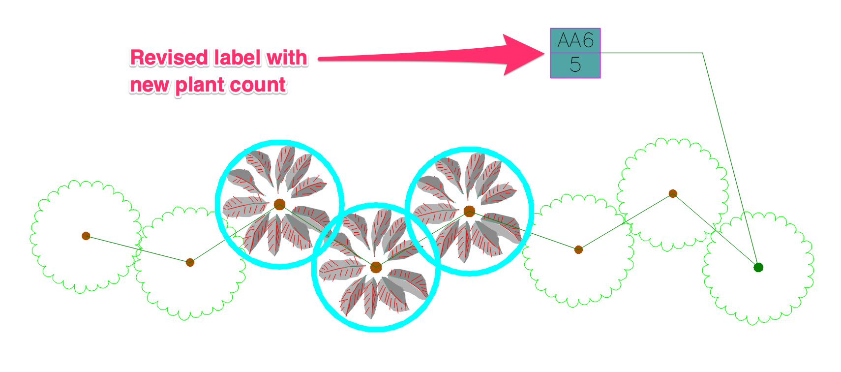 Plant labels revised to reflect new plant counts and all unlabeled plants circled in cyan