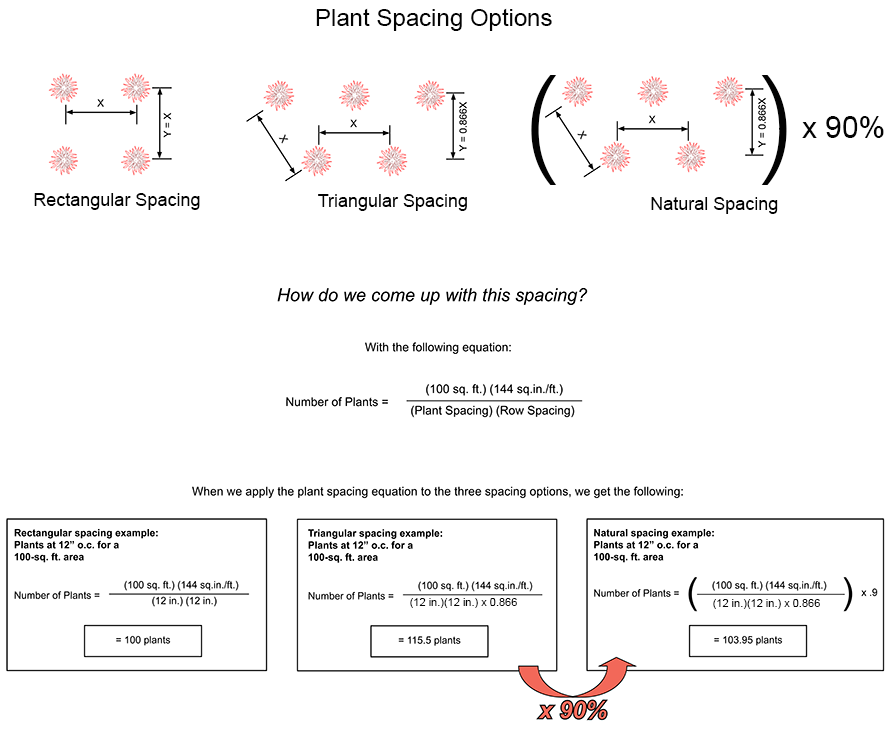 Natural Spacing Planting Overview, Landscape Plant Calculator
