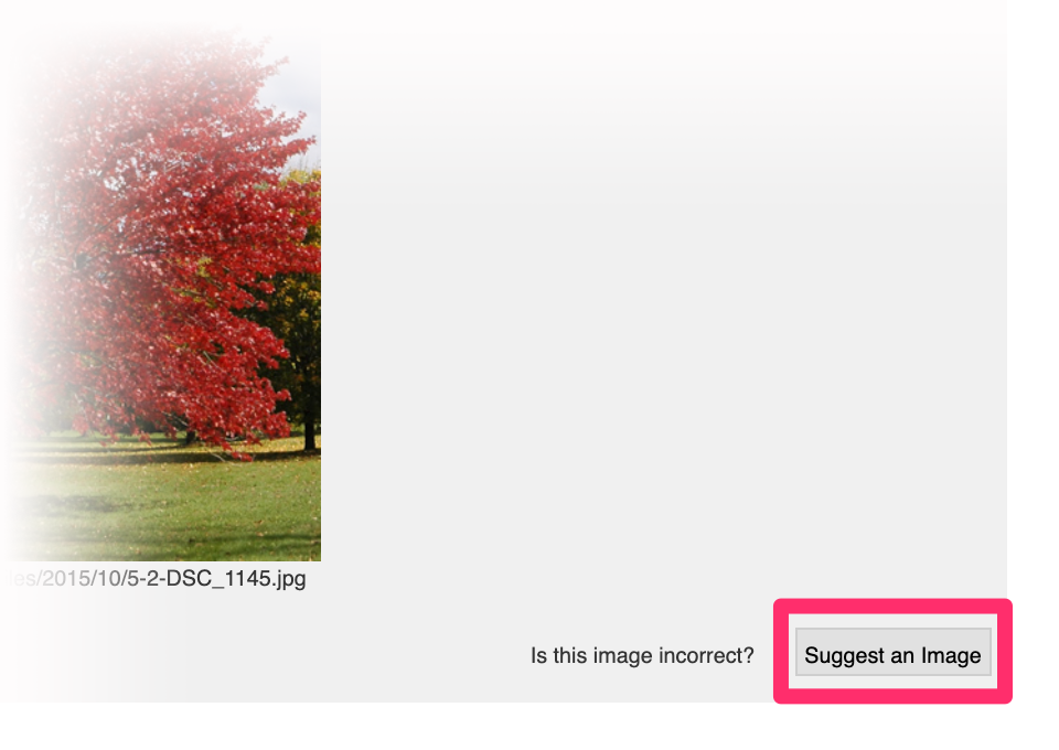 Suggesting a photo for a plant