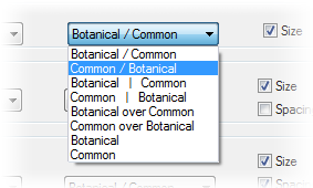 Display Options