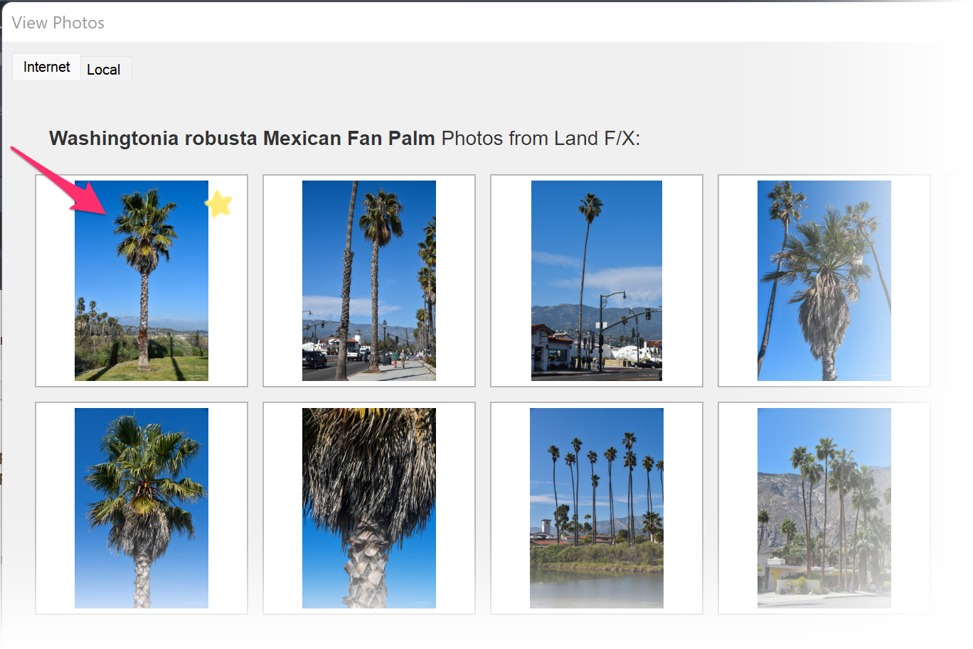 Selecting a plant photo in the View Photos dialog box