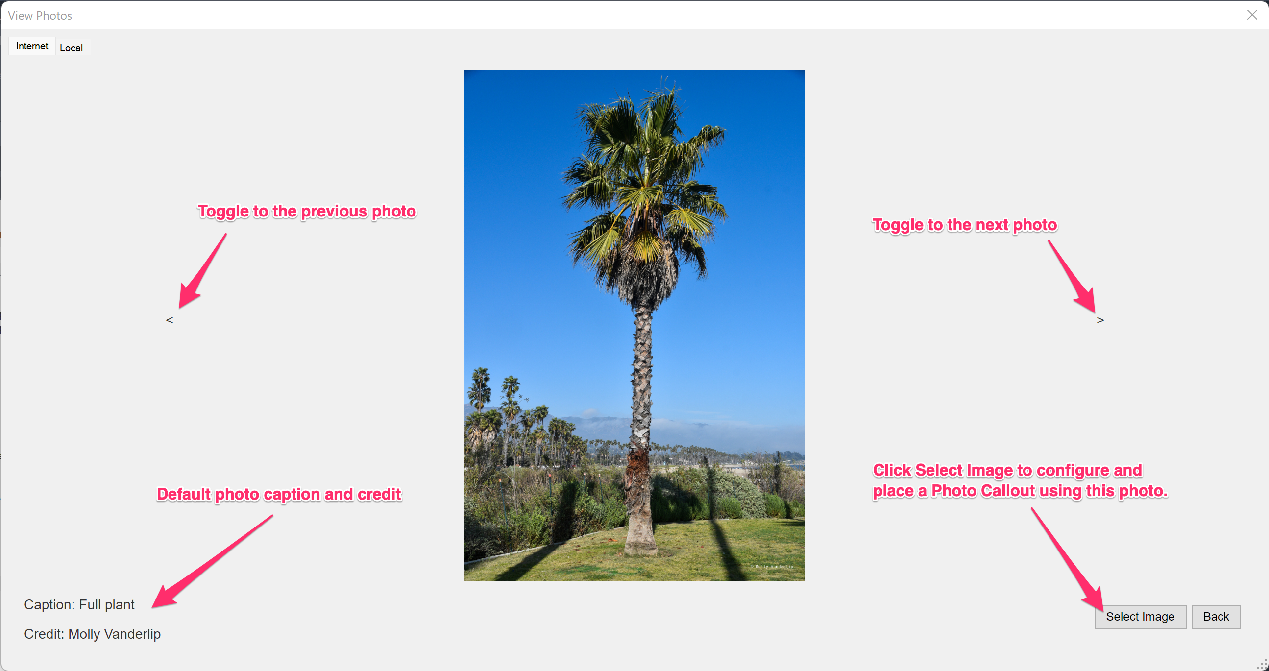 Selected and enlarged plant photo in the View Photos dialog box