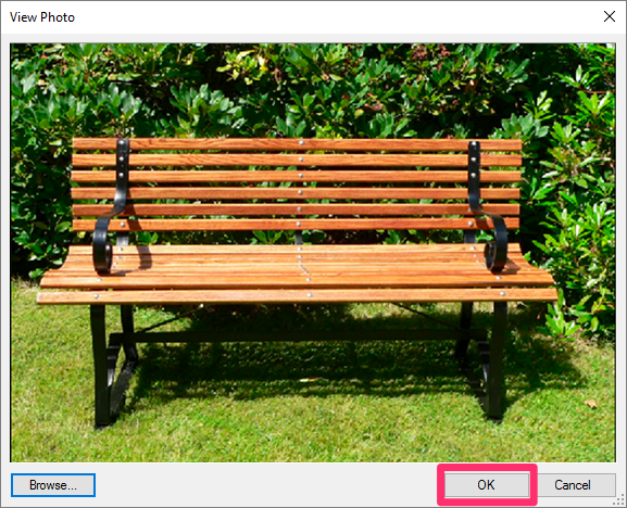 Preview of photo in View Photo dialog box
