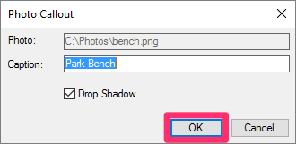 Photo Callout dialog box with local photo information