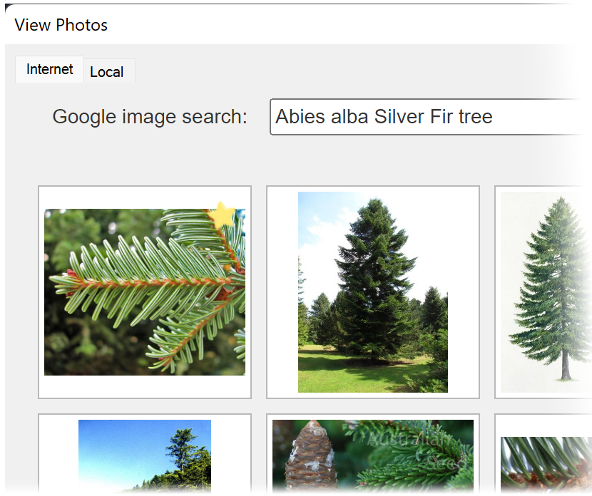 View Photos dialog box, Google images search section
