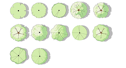 Tree color symbols: Graphical