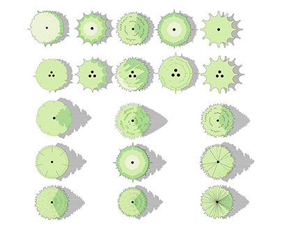 Tree color symbols: Evergreen/conifer