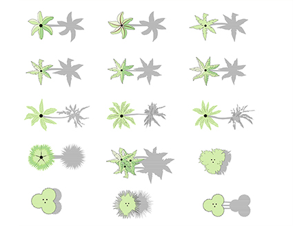 Tree color symbols: Palms