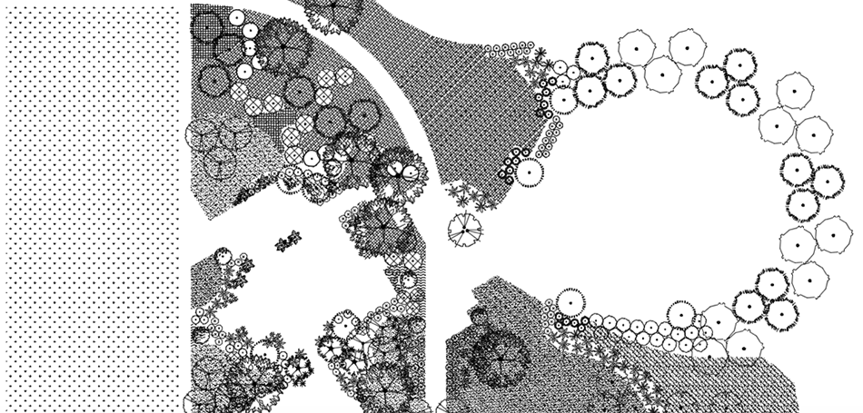 Planting plan before colorization, example