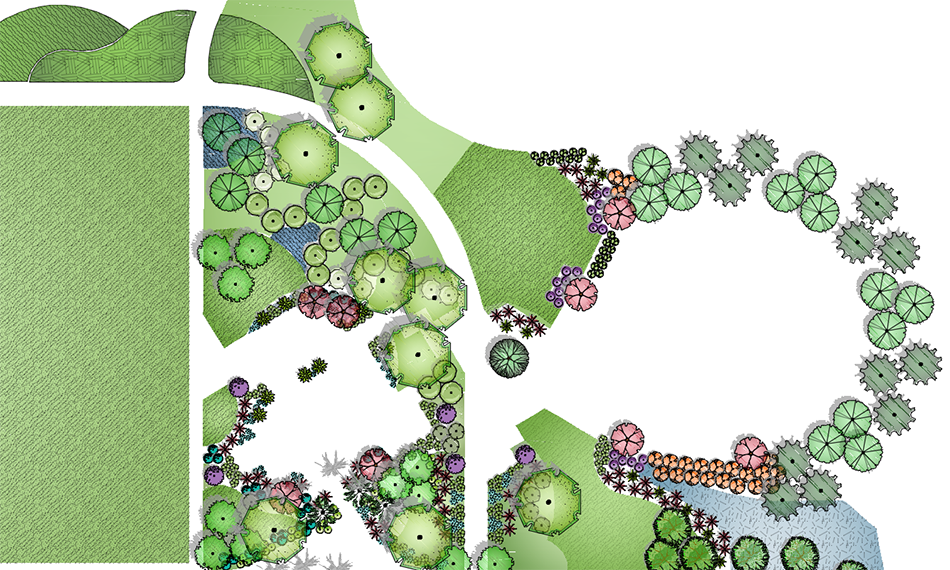 Planting plan after colorization, example