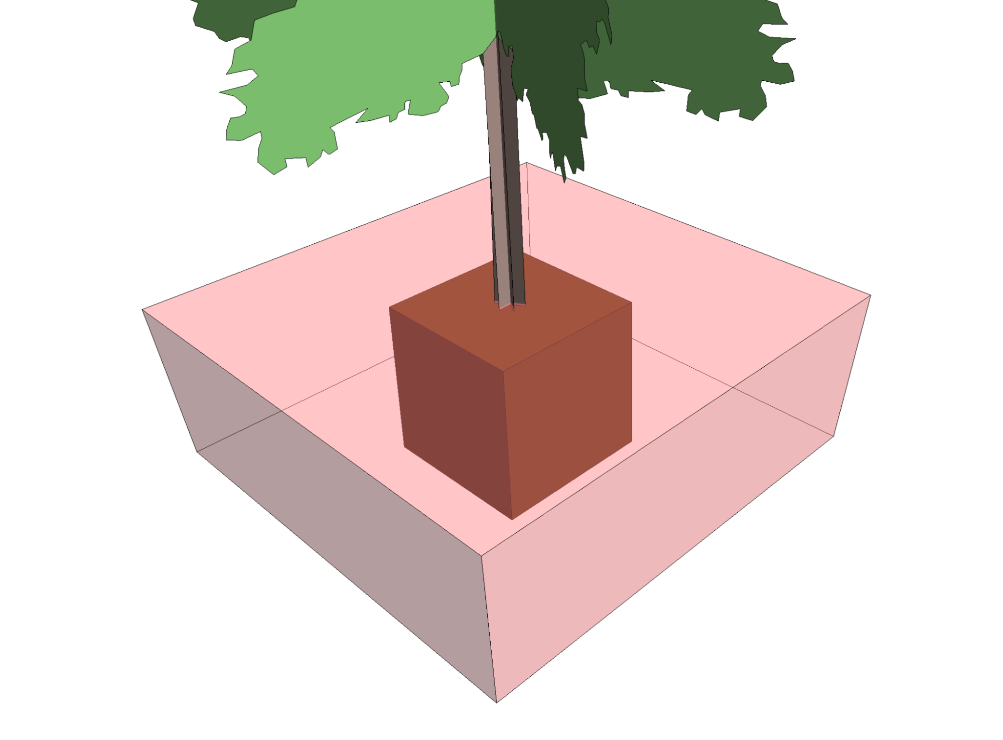 Example of a 3D box rootball