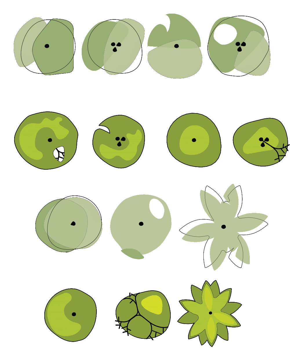 Color Plant Symbols