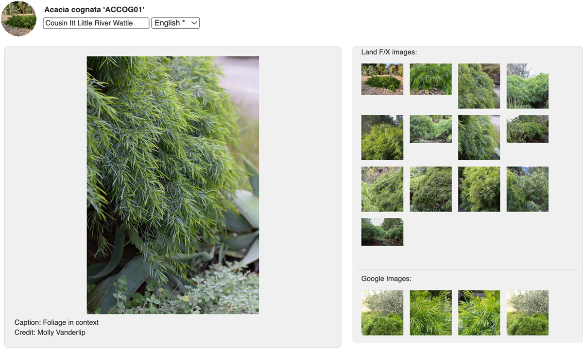 Access thousands of plant images