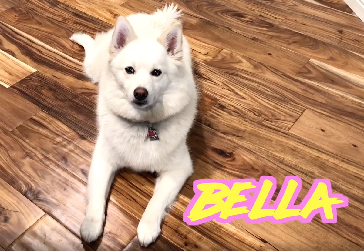 Power Tip: A Ruff Life