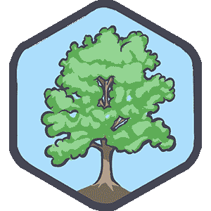 Champion Tree