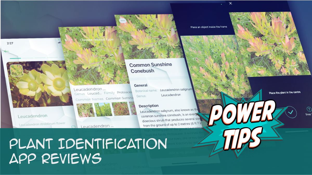 Power Tip: Plant Identification App Reviews